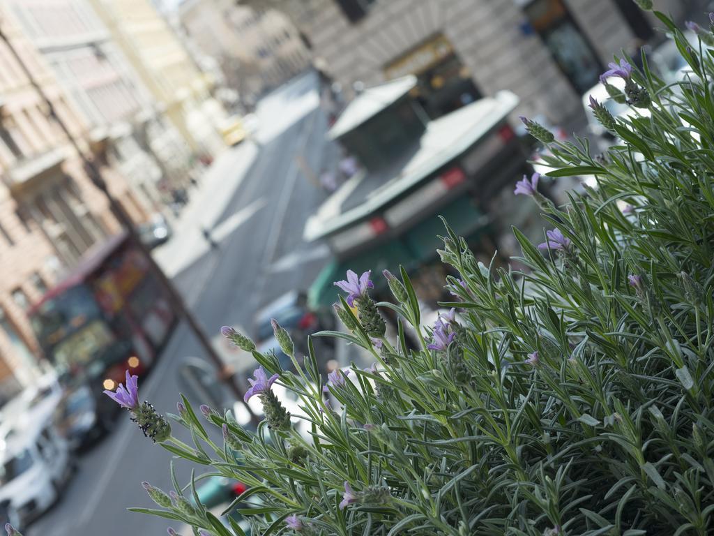 Bed and Breakfast Corso Vittorio 308 Rzym Zewnętrze zdjęcie